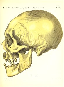 n172_w1150