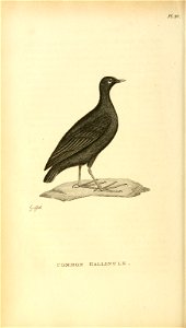 n315_w1150