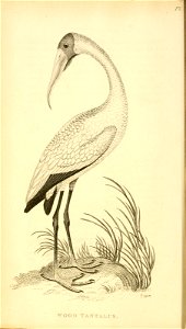 n15_w1150