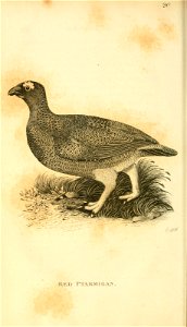 n65_w1150