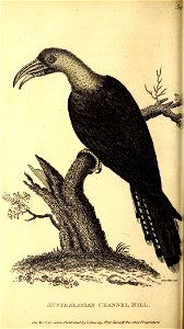 n505_w1150