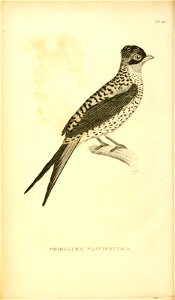 n679_w1150
