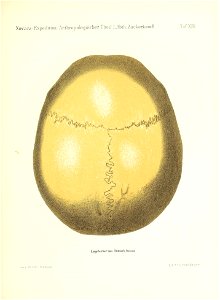 n166_w1150
