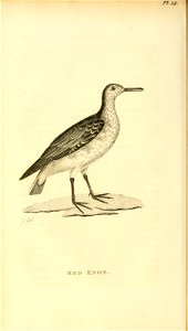 n129_w1150