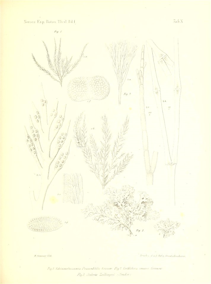 n136_w1150