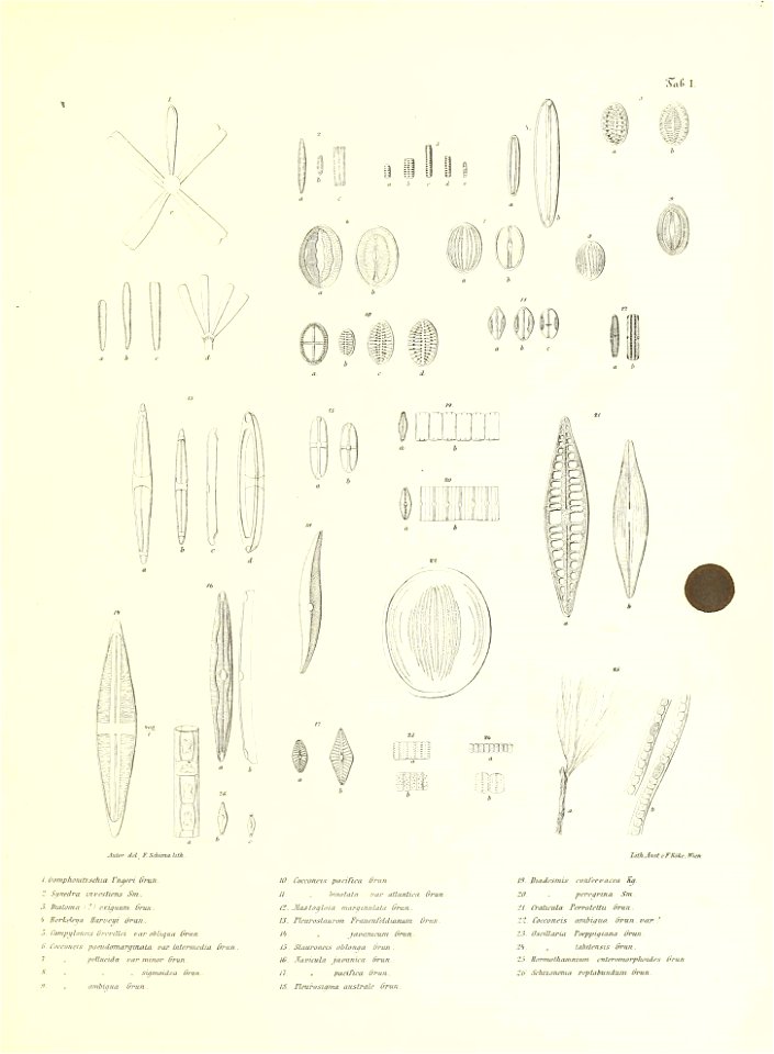 n116_w1150