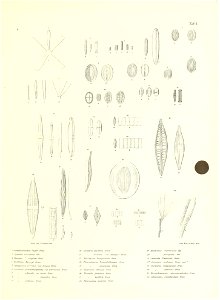 n116_w1150