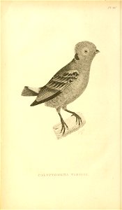 n675_w1150