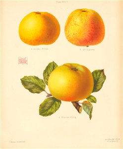 n382_w1150