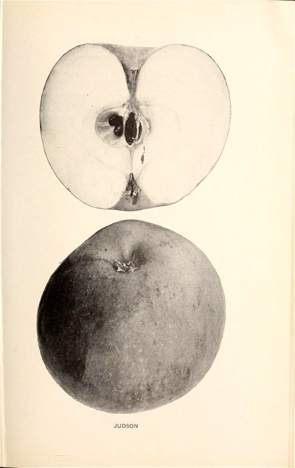n194_w1150