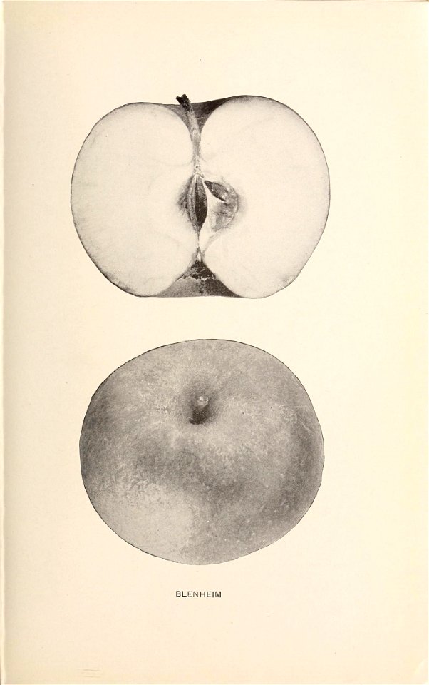 n44_w1150
