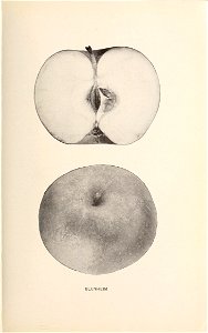 n44_w1150