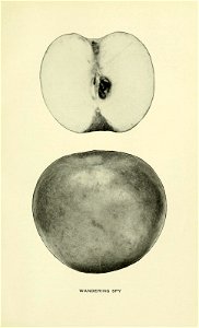 n616_w1150