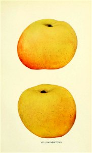 n254_w1150