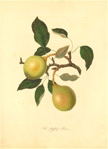 n158_w1150