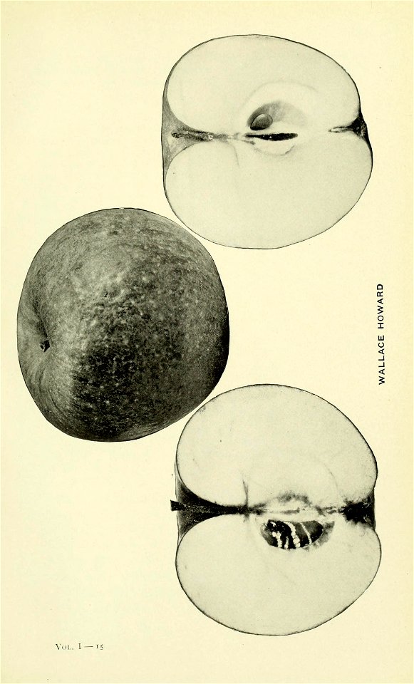 n612_w1150