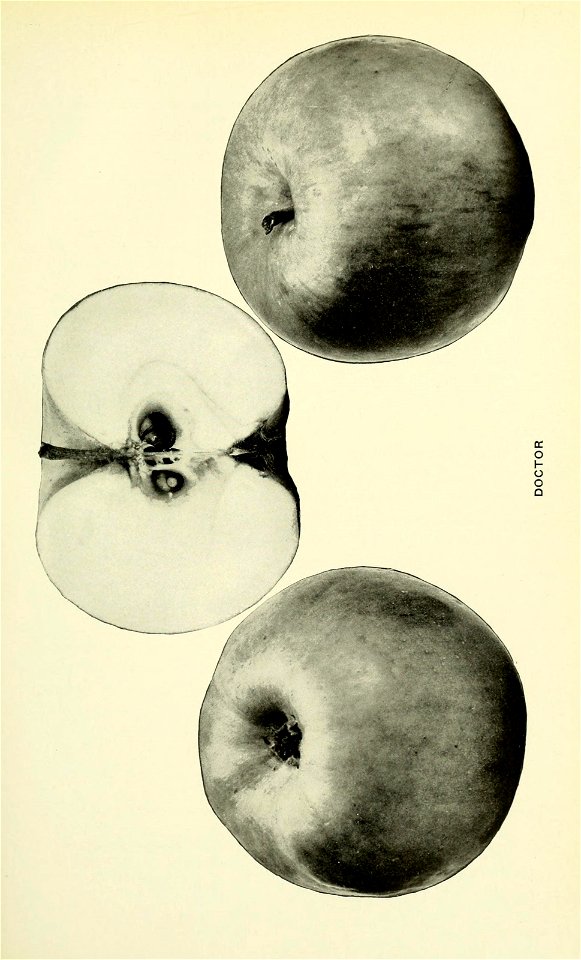 n180_w1150