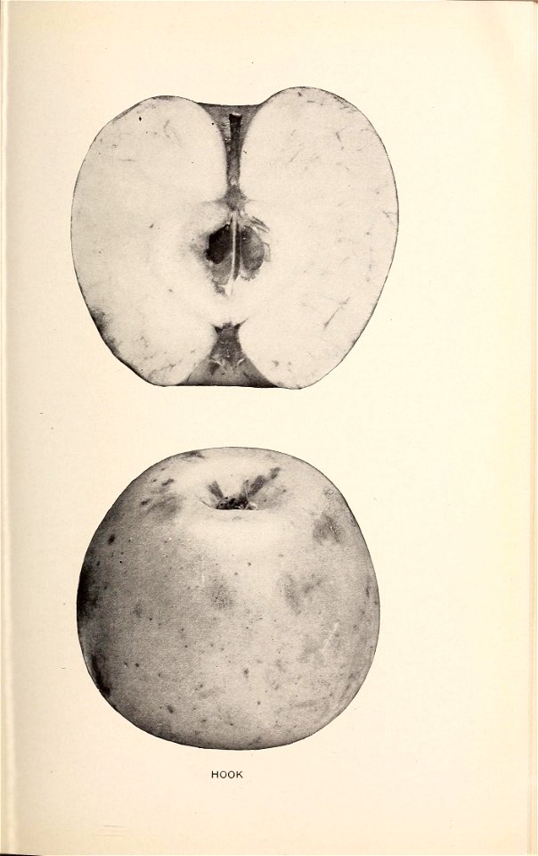 n178_w1150