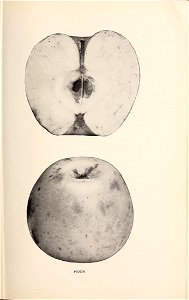 n178_w1150