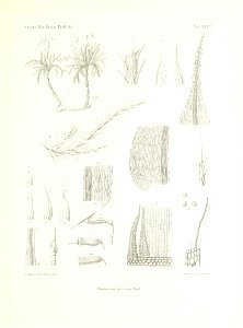 n276_w1150