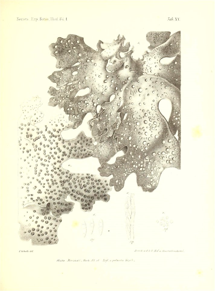 n172_w1150