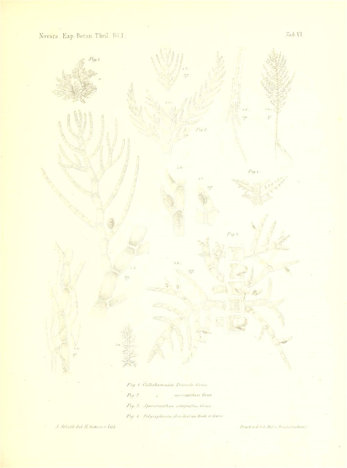 n128_w1150