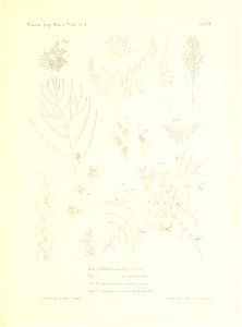 n128_w1150