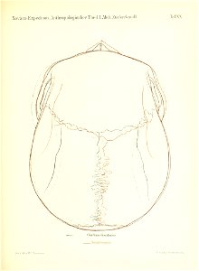 n180_w1150