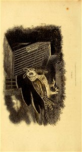 n313_w1150
