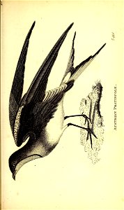 n192_w1150