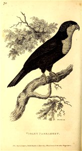 n639_w1150