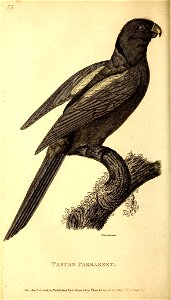 n543_w1150