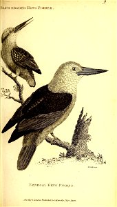 n106_w1150