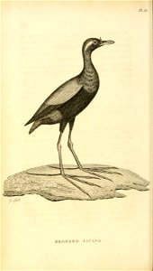 n345_w1150
