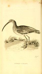 n45_w1150