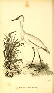 n395_w1150