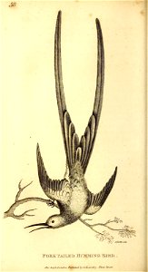 n371_w1150