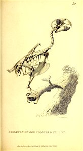 n514_w1150