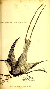 n364_w1150