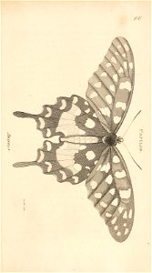 n368_w1150