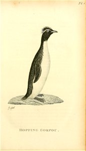 n84_w1150
