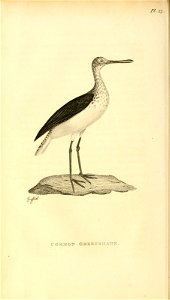 n123_w1150