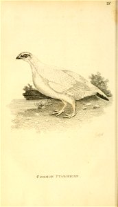 n57_w1150