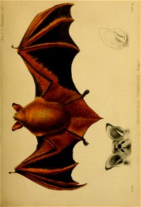 n112_w1150