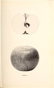 n186_w1150