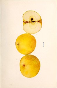 n254_w1150
