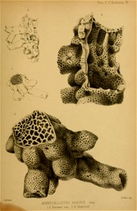 n162_w1150