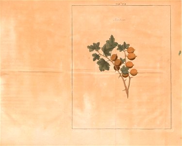 n237_w1150