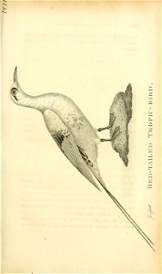 n172_w1150