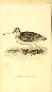 n69_w1150